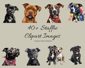 Staffie Clipart / Imágenes de Staffordshire Bull Terrier / Imágenes prediseñadas de raza de perro / Uso comercial de imágenes prediseñadas de 300 ppp / PNG transparentes / Imágenes prediseñadas de perro