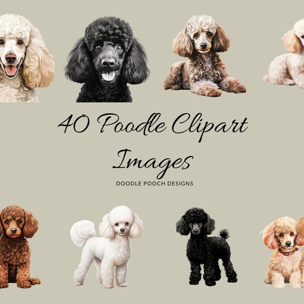 Poodle Clipart, Dog Breed Clipart, Watercolour Clip Art, Commercial Use, Dog Portrait Transparent PNGs, Cute Dog Clip Art, 40 Images