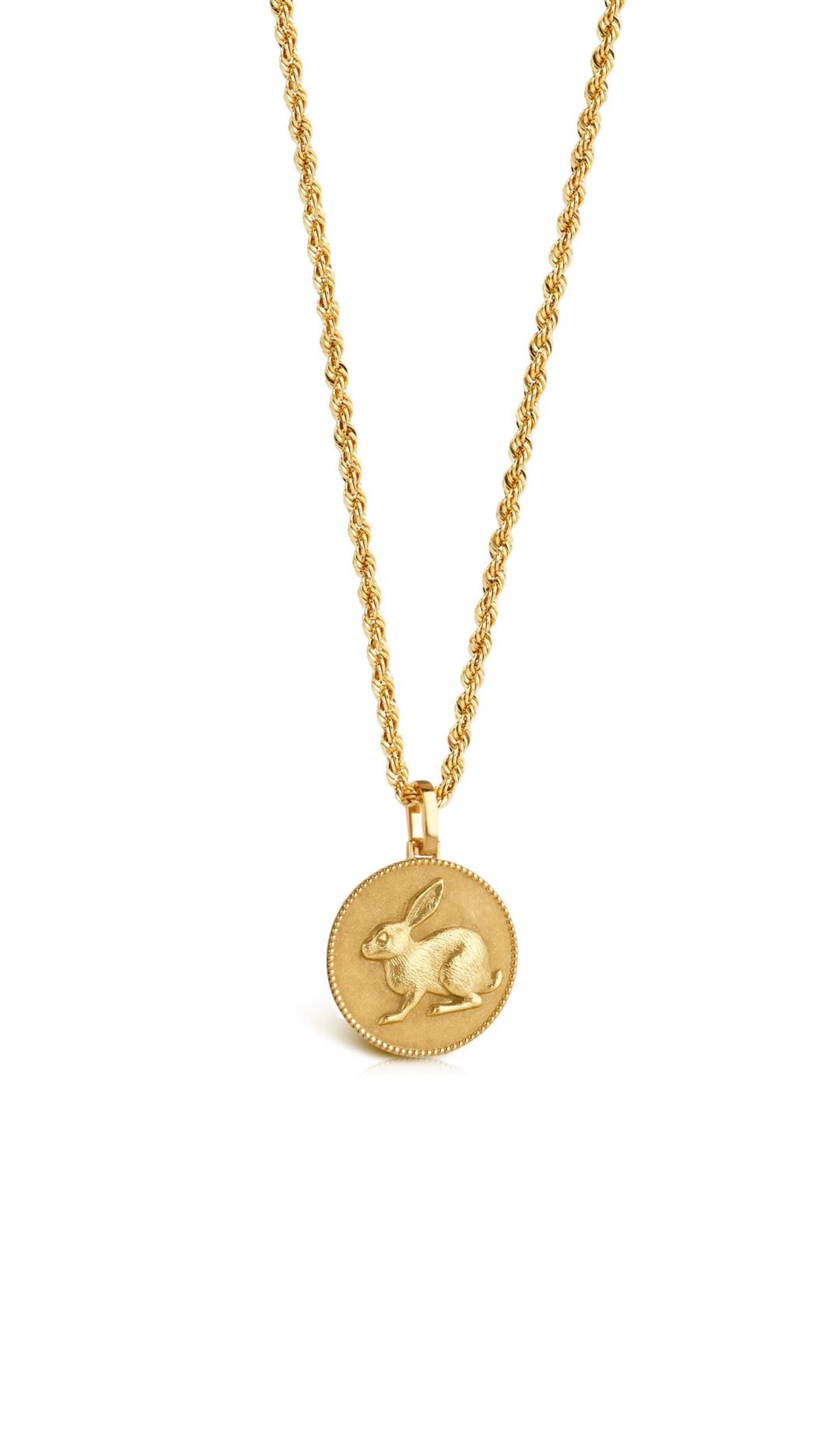 Goldhare 14K Solid Gold Hare Pendant: Animal Coin Necklace - Etsy