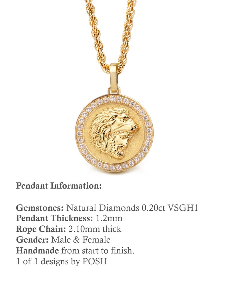 14K Gold Heracles Necklace, Custom Hercules Head Medallion, Diamond