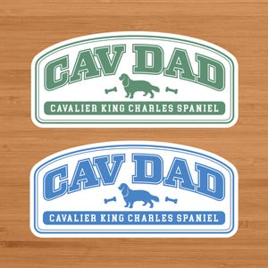 May include: Two stickers with a Cavalier King Charles Spaniel theme. One is green and white, the other is blue and white. Both feature the text "CAV DAD" above a dog silhouette and the words "CAVALIER KING CHARLES SPANIEL".