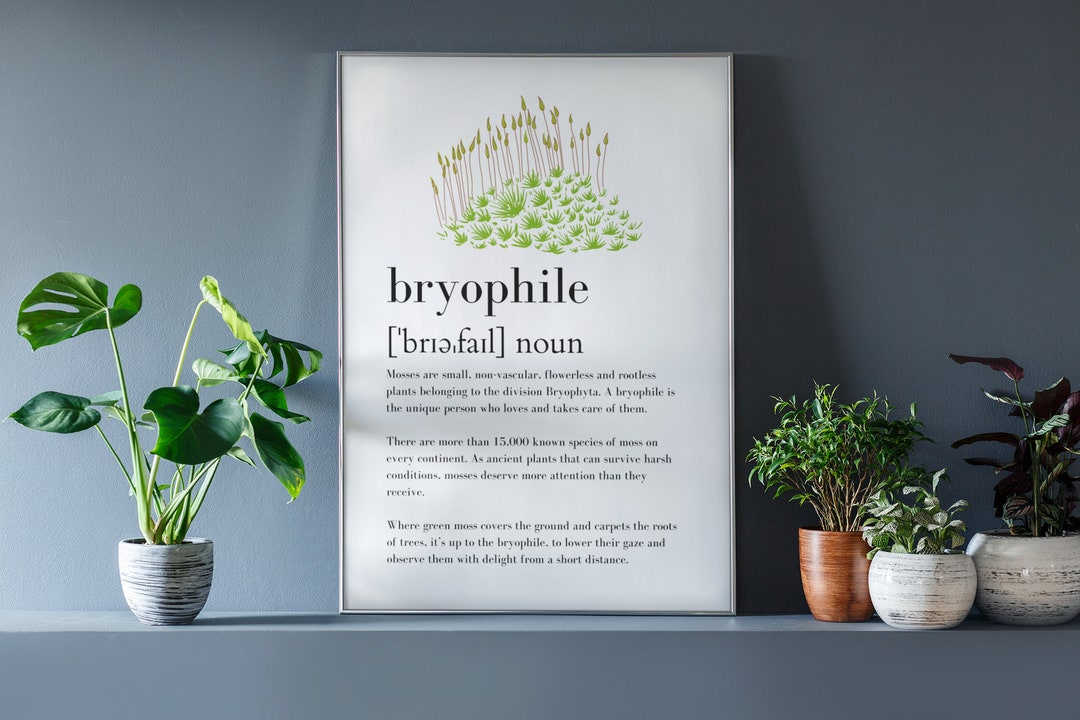 Bryophile Definition Print | Digital Wall Art | Nature Vocabulary ...
