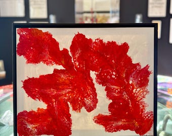 Lava Bloom – Original Acrylic Pour Painting | Fiery Red & White Modern Abstract Art | Handmade Contemporary Wall Décor |  20" x 16" Canvas