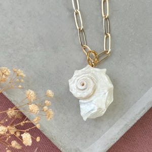 Può includere: Una collana con pendente a conchiglia e catena dorata. Il pendente è una conchiglia bianca perlata scolpita. La catena dorata ha un design a maglie. La collana è esposta su una superficie grigia con fiori secchi e sfondo rosa.