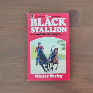 Der schwarze Stallion und der Fremde Walter Farley Vintage 1984 Taschenbuch