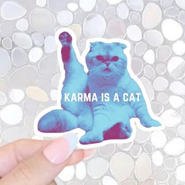 FREE SHIPPING! Taylor Swift, Karma is a Cat- Olivia Benson Sticker, Swiftie Waterbottle Sticker, Swifty Kindle Sticker, Waterproof Vinyl