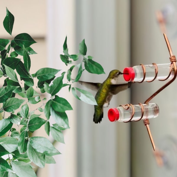 Creatieve glazen kolibrievoeder met zuignap - zoete buitenvogeldecoratie