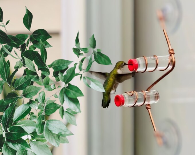 Mangeoire à colibris en verre créative avec ventouse - Décoration d'oiseau d'extérieur douce