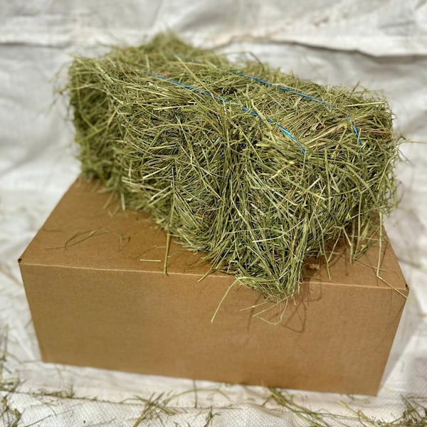 Premium hay for Small Animals!