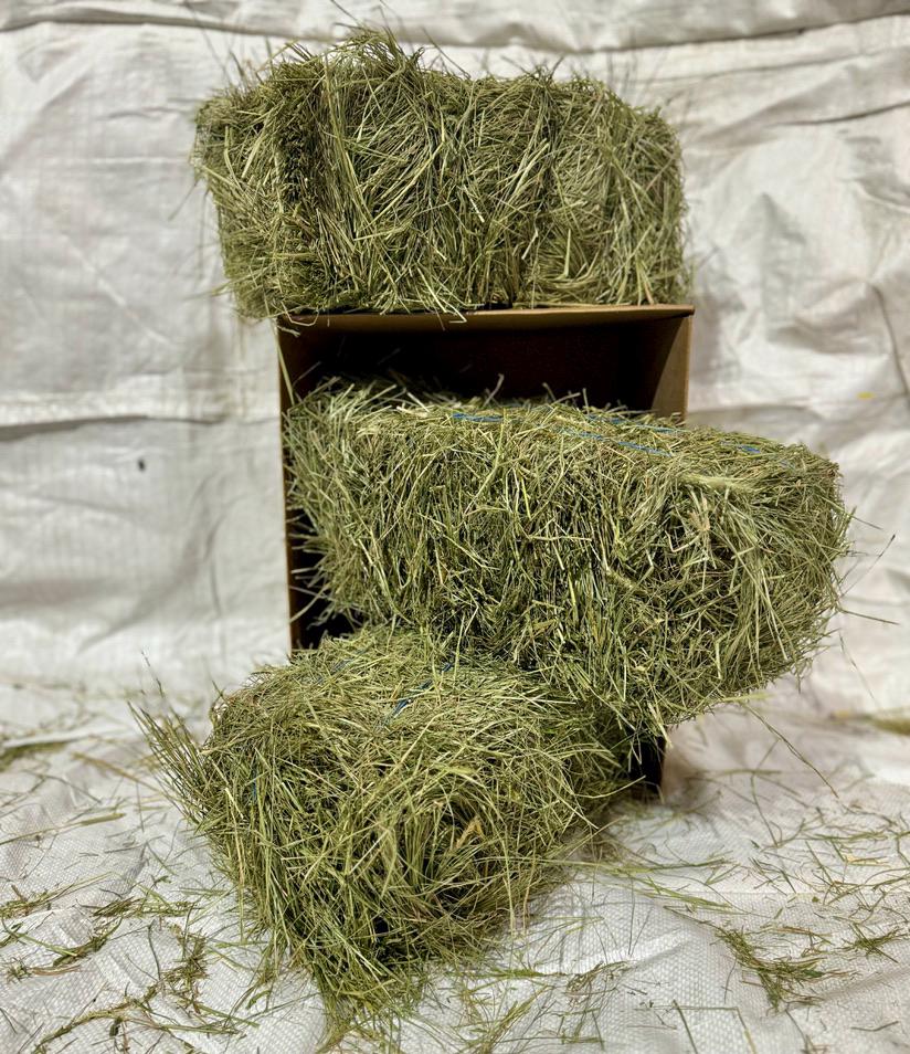 Wool Hay Premium Hay for Small Animals! - Etsy