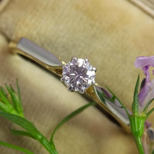May include: A solitaire engagement ring with a round-cut diamond set in a gold and silver band. The diamond is the focal point, sparkling brightly. The ring is displayed with green foliage and purple flowers.