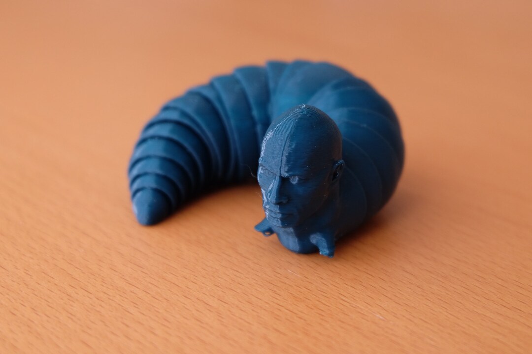 The Rook Slug Just3dprintings the Rock Fidget Slug | 3dprint | the Rock | Fidget - Etsy