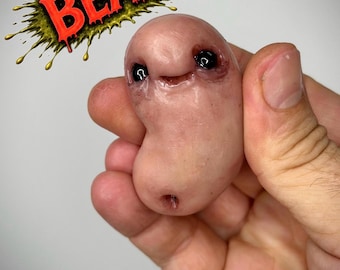 Die Bohne