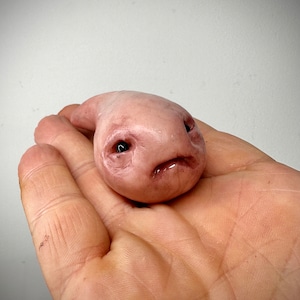 Squib-   Handmade Polymer Clay  Figurine - Unique Collectible Creature Art