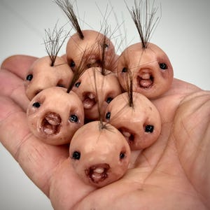 Disturbie “Nugget” – Micro Grotesque Head Sculpture – Weird Handmade Polymer Clay Oddity