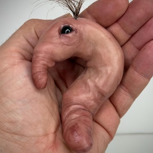 Garloid - Handmade Polymer Clay Oddity - Creepy Cute Flesh Creature