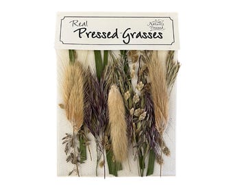 Pressed Mixed Grasses for Resin, Crafts, Scrapbooking, Nail Art - A Field of Grasses 20 Pieces