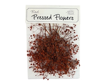Fiori di Gypsophila pressati - Fiori tinti di arancione per resina, nail art, decorazioni per matrimoni, 20 pezzi