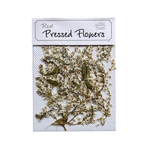 Peut inclure: Un paquet de fleurs séchées, étiqueté "Real Pressed Flowers" avec un petit logo qui dit "Nature's Pressed". Les fleurs sont blanches et vertes et sont disposées de manière aléatoire.