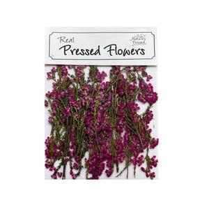 May include: A package of real pressed flowers, labeled "Real Pressed Flowers" with a small logo that says "Nature's Pressed". The flowers are a deep pink color and are arranged in a cluster.