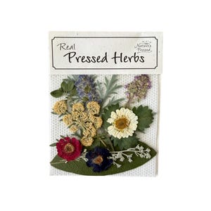 Pressed Herb Mix - Assorted Herbs for Resin Art, Crafts, Scrapbooking. 10 Pieces