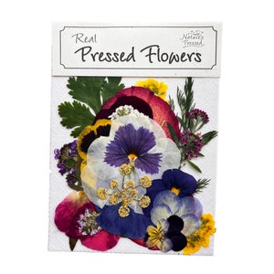 May include: A package of real pressed flowers, featuring a variety of colorful blooms. The flowers include purple, yellow, red, and white petals, and green leaves. The package has the text "Real Pressed Flowers" and "Nature's Pressed".
