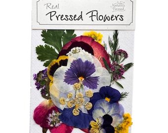 May include: A package of real pressed flowers, featuring a variety of colorful blooms. The flowers include purple, yellow, red, and white petals, and green leaves. The package has the text "Real Pressed Flowers" and "Nature's Pressed".
