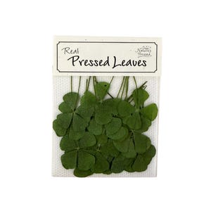 May include: A package of real pressed leaves, featuring several green four-leaf clovers. The leaves are displayed on a white background and are packaged in a clear plastic sleeve with a label that reads "Real Pressed Leaves."