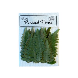May include: A package of real pressed ferns, labeled "Real Pressed Ferns" with a small logo that says "Nature's Pressed". The ferns are a deep green color and are arranged in a fan shape.