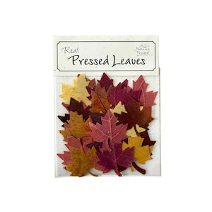 May include: A clear plastic package containing an assortment of real pressed leaves in shades of yellow, orange, red, and deep burgundy. The top label features the text Real Pressed Leaves and the Nature's Pressed logo in black ink.