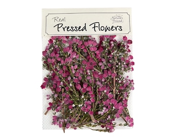 Pressed Light Pink Heather Flowers for Resin, Nail Art, Crafts, Scrapbooking – 24 Pieces