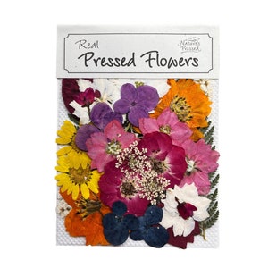 Peut inclure: Un paquet de fleurs séchées réelles de différentes couleurs, notamment jaune, orange, rouge, rose, violet et bleu. Le paquet est étiqueté "Real Pressed Flowers" avec un petit logo qui dit "Nature's Pressed".