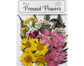 Pressed Flower Mix for Resin Crafts, Assorted Dried Flowers, Springtime Large Collection 20 Pieces