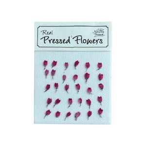 May include: A sheet of white paper with the text "Real Pressed Flowers" and 25 small, pressed pink flowers arranged in rows.