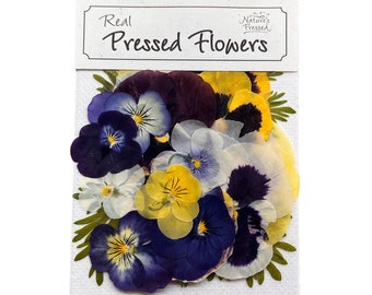 Pressed Flower Mix - Pansies and Ferns for Resin Art Crafts Scrapbooking Decor. 20 Pieces