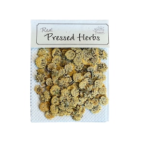 May include: A packet of dried, pressed yellow flowers with the text "Real Pressed Herbs" on the label.