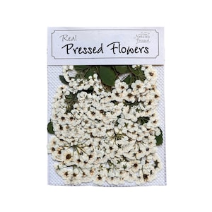 May include: A package of real pressed white flowers with green leaves. The package is labeled "Real Pressed Flowers" with a small logo that says "Nature's Pressed".