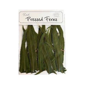 May include: A package of real pressed ferns, labeled "Real Pressed Ferns" with a small logo that says "Nature's Pressed". The ferns are a deep green color and have a natural, organic look.