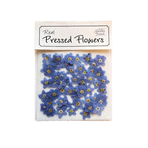 Forget-Me-Nots Singles Blue Shades (Natural) - 100 Flowers