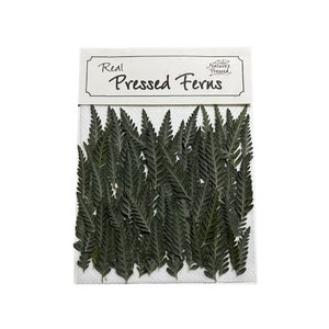 May include: A sheet of real pressed ferns, arranged in rows, with a label that reads "Real Pressed Ferns" and "Nature's Pressed".