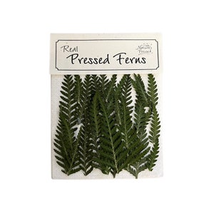 May include: A package of real pressed ferns, labeled "Real Pressed Ferns" with a small logo that says "Nature's Pressed".