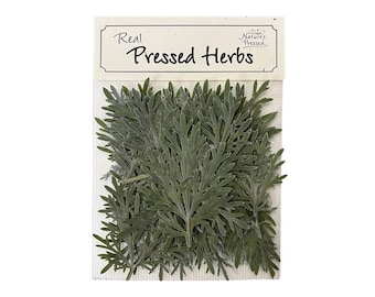 Artemisia 20 Pieces