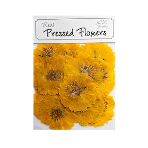 May include: A package of pressed yellow flowers, labeled "Real Pressed Flowers".