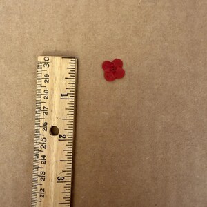 Hawaiian Star 25 Flowers image 3