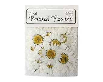 Edible Pressed Daisies – Natural White Flowers for Cakes, Cupcakes, Cookies, Desserts, 20 Pieces