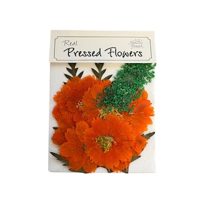 May include: A package of real pressed flowers, featuring orange cosmos flowers and green sprigs. The package is labeled "Real Pressed Flowers" with a small "Nature's Pressed" logo.