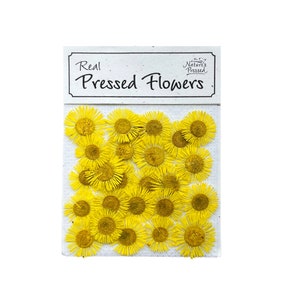 May include: A package of real pressed yellow flowers. The package is labeled "Real Pressed Flowers" and "Nature's Pressed".