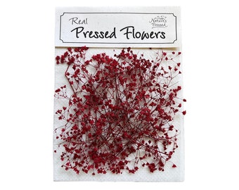 Pressed Baby’s Breath - Red Dyed Flowers for Resin, Nail Art, Wedding Decor, 20 Pieces