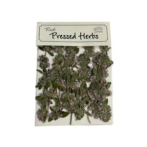 May include: A packet of real pressed herbs, showing sprigs with tiny purple flowers and green leaves. The package has a white background and a label that reads "Real Pressed Herbs."
