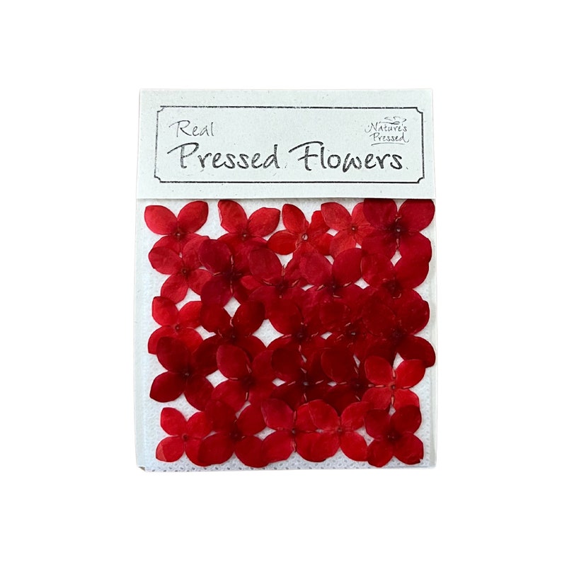 May include: A package of real pressed red flowers. The package is labeled "Real Pressed Flowers" with a small logo that says "Nature's Pressed".